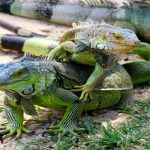 National Nature Reserve