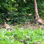 National Nature reserve