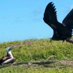 National Nature Reserve